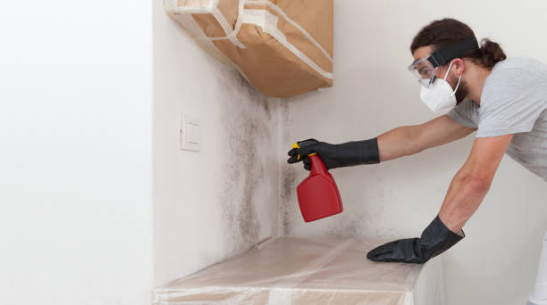 Professional Black Mold Remediation technician working in Massapequa, NY